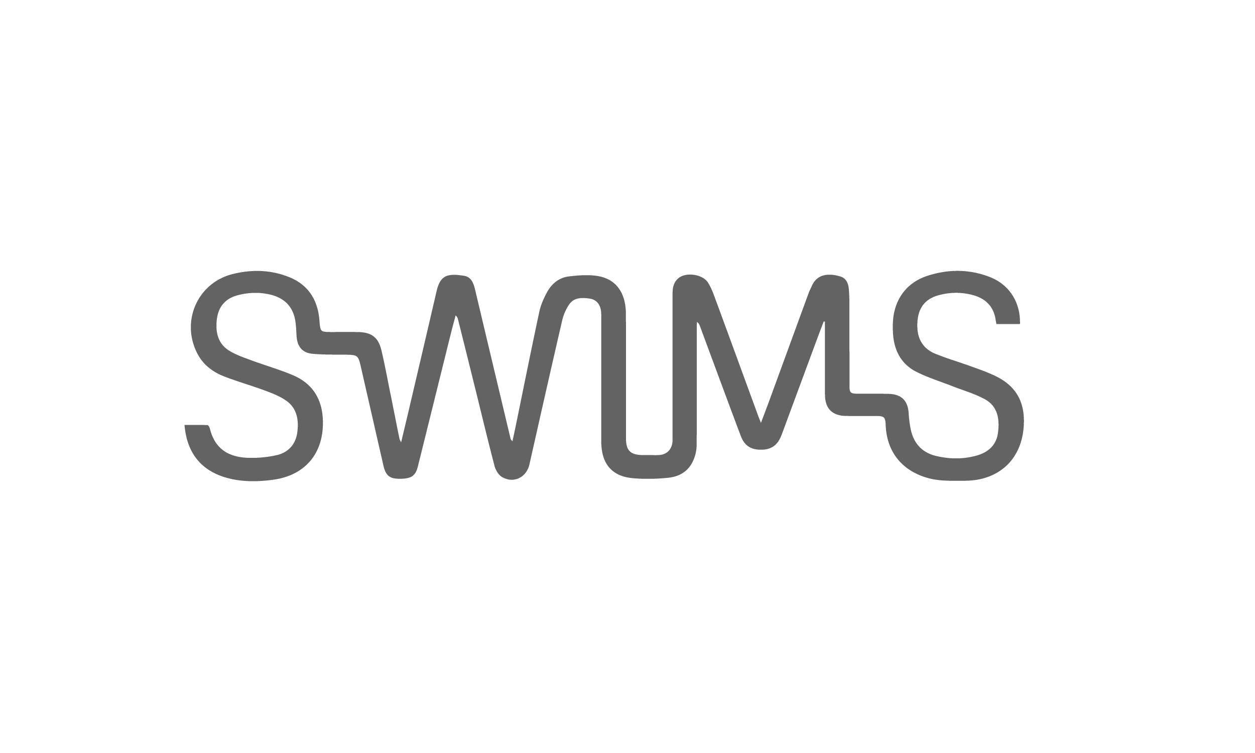 Nigel Holmes Designer Menswear - Swims Logo